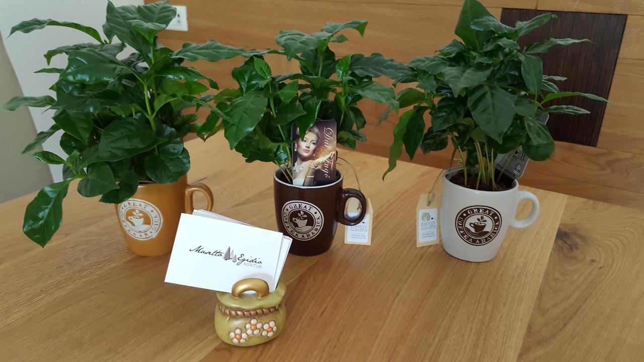 Strigno Masetto Egidio Eco-Agriturヴィラ エクステリア 写真