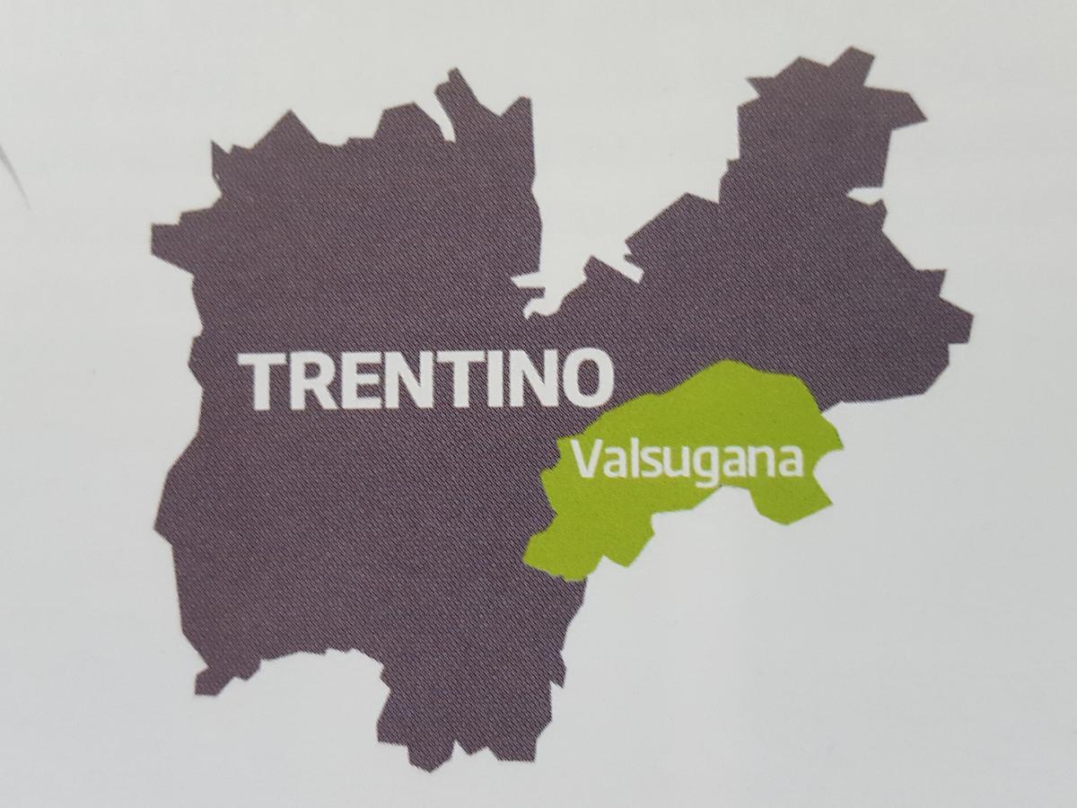 Strigno Masetto Egidio Eco-Agriturヴィラ エクステリア 写真